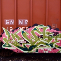 Ewze_Graffiti_USA_America_Spraydaily_07