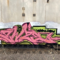 Ewze_Graffiti_USA_America_Spraydaily_08