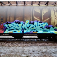 Ewze_Graffiti_USA_America_Spraydaily_09