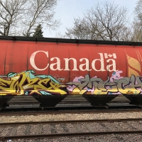 Ewze_Graffiti_USA_America_Spraydaily_12