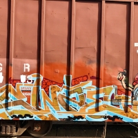 Ewze_Graffiti_USA_America_Spraydaily_14