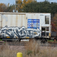 Ewze_Graffiti_USA_America_Spraydaily_15