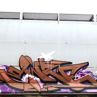 Ewze_Graffiti_USA_America_Spraydaily_16