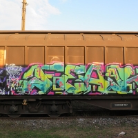 Fear_GBS_Bucharest_Romania_HMNI_Graffiti_Spraydaily_12