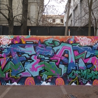 Fear_GBS_Bucharest_Romania_HMNI_Graffiti_Spraydaily_15