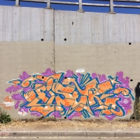 Fisek_Santiago_HMNI_Graffiti_Spraydaily_15