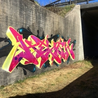 Hemsk_NHR_Gothenburg_Graffiti_Spraydaily_hmni_06