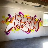 Hemsk_NHR_Gothenburg_Graffiti_Spraydaily_hmni_07