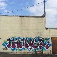 Hungr_LSD_BTR_Toronto_Canada_HMNI_Spraydaily_Graffiti_13