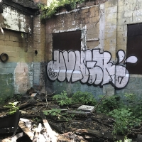 Hungr_LSD_BTR_Toronto_Canada_HMNI_Spraydaily_Graffiti_18