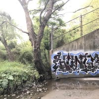 Hungr_LSD_BTR_Toronto_Canada_HMNI_Spraydaily_Graffiti_19