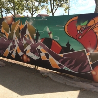 Iwok_PMB_Rodez_France_HMNI_Graffiti_Spraydaily_12