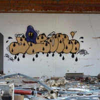 Jason72_CG_IG_HMNI_Spraydaily_Graffiti_Regensburg_Germany_14