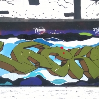 Lacks_CKR_HMNI_Graffiti_Spraydaily_05
