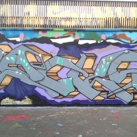 Lacks_CKR_HMNI_Graffiti_Spraydaily_09