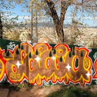 Laia_ck_hmni_Barcelona_graffiti_spraydaily_03