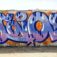Laia_ck_hmni_Barcelona_graffiti_spraydaily_09