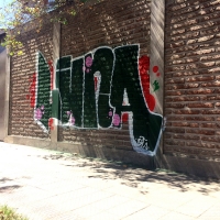 Luna_OTS_HMNI_Graffiti_Santos_Brasil_Spraydaily_09