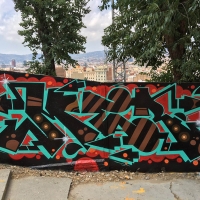 Mer_BL_Barcelona_HMNI_Graffiti_Spraydaily_03
