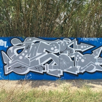 Mer_BL_Barcelona_HMNI_Graffiti_Spraydaily_06