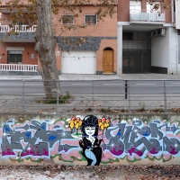 Mer_BL_Barcelona_HMNI_Graffiti_Spraydaily_22