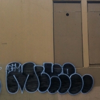 Mike_DFM_HMNI_SprayDaily_12