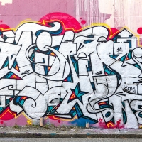 Mind_VLOK_FIA_FY_RT_HMNI_Graffiti-Spraydaily_20