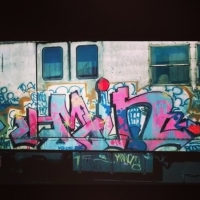 Min_NYC_HMNI_Spraydaily_10