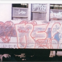 Min_NYC_HMNI_Spraydaily_13