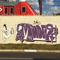 Mudo_HMNI_Spraydaily_Graffiti_12