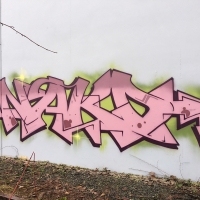 Nako_HMNI_Graffiti_Surrey-British-Columbia-Canada_Spraydaily_01