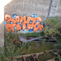 Neat_PIX_DINMA_Sweden_Graffiti_Spraydaily_02