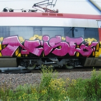 nise_sweden
