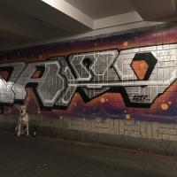 Pako_SM_Pakooner_HMNI_Kiev_Ukraine_Graffiti_Spraydaily_14