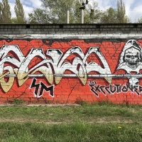 Pako_SM_Pakooner_HMNI_Kiev_Ukraine_Graffiti_Spraydaily_17