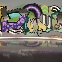 Pout Spencer_COPS_DH_Germany_Graffiti_Spraydaily_07