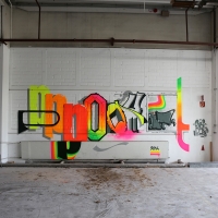 Pout Spencer_COPS_DH_Germany_Graffiti_Spraydaily_34