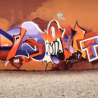 Pout Spencer_COPS_DH_Germany_Graffiti_Spraydaily_39