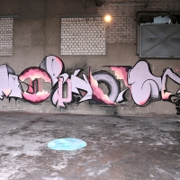 Pout Spencer_COPS_DH_Germany_Graffiti_Spraydaily_42