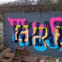 PREF_ID_Prefid_HMNI_spraydaily_hmni_Graffiti_London_11