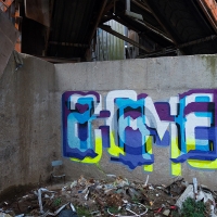 PREF_ID_Prefid_HMNI_spraydaily_hmni_Graffiti_London_13