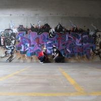 prins-oner_bib-odb-dt-lo_odense_graffiti_spraydaily_14