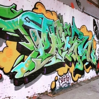 prins-oner_bib-odb-dt-lo_odense_graffiti_spraydaily_15