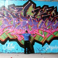 prins-oner_bib-odb-dt-lo_odense_graffiti_spraydaily_16