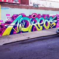 Queen-Andrea_Graffiti_Spraydaily_HMNI_06.jpg