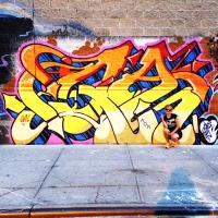Queen-Andrea_Graffiti_Spraydaily_HMNI_09.jpg