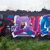 Ques_HMNI_Spraydaily_Graffiti_dems_zoer