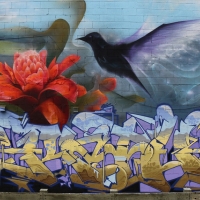 Rath_UPS, COD, 3A, KMS_Graffiti_New York_Spraydaily_24