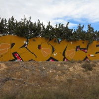 Roice_333_K5U_PRS_Elche_Spain_HMNI_Graffiti_Spraydaily_01