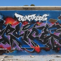 Roice_333_K5U_PRS_Elche_Spain_HMNI_Graffiti_Spraydaily_03